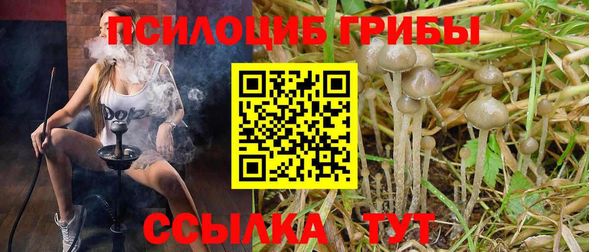 Псилоцибиновые грибы MAGIC MUSHROOMS Елизово