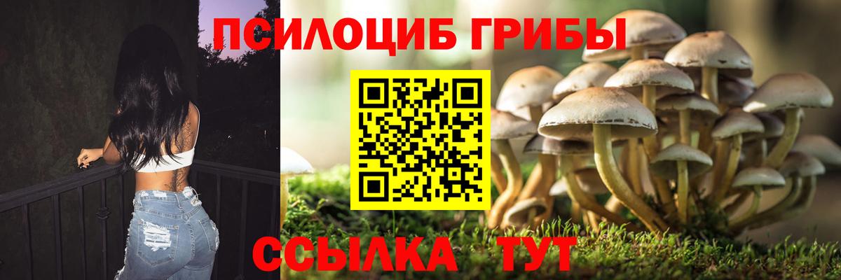 Елизово  Псилоцибиновые грибы MAGIC MUSHROOMS  Вход с VPN  Псилоцибиновые грибы прущие грибы 
